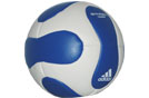 adidas Stabil Champ HB