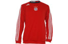 adidas FC Bayern Sweat Y