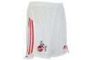 adidas 1.FC K�ln H Short Y