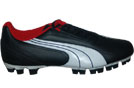 Puma V6.08 GCI FG