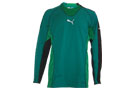 Puma King GK Jersey