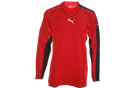 Puma King GK Jersey